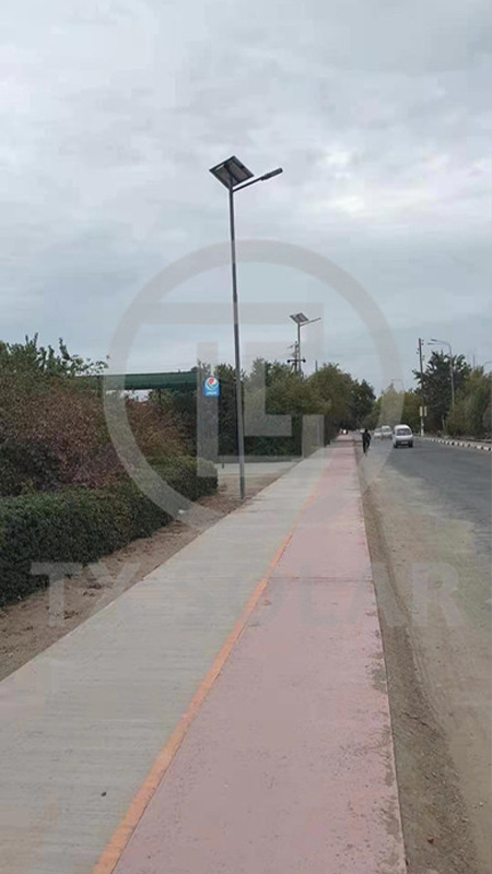 Project in Uzbekistan (4)